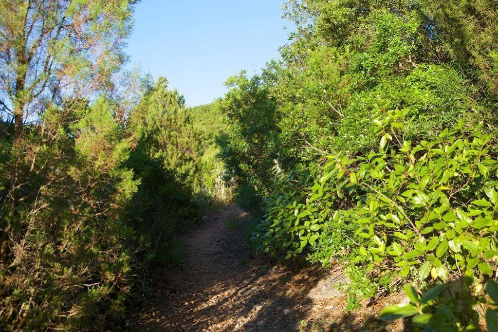 Biovilla Sustentabilidade Palmela Dış mekan fotoğraf